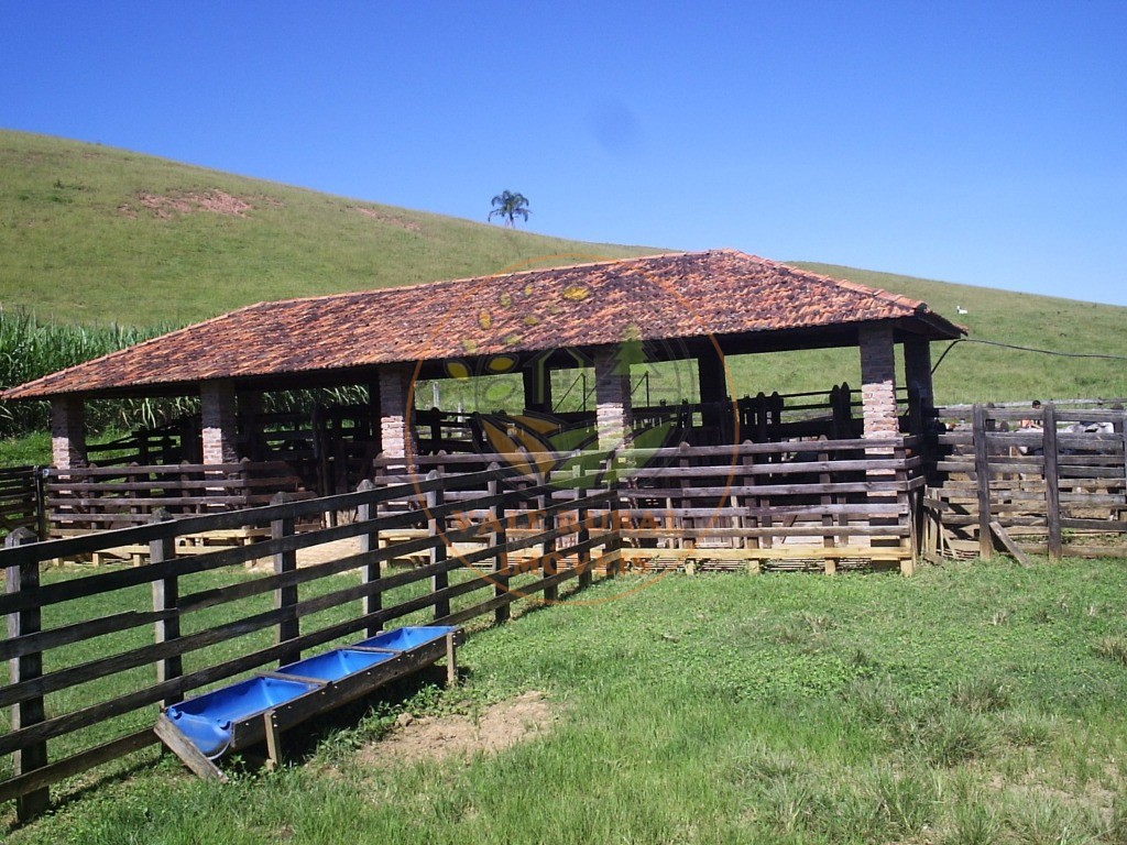 Fazenda à venda com 1 quarto, 106m² - Foto 16