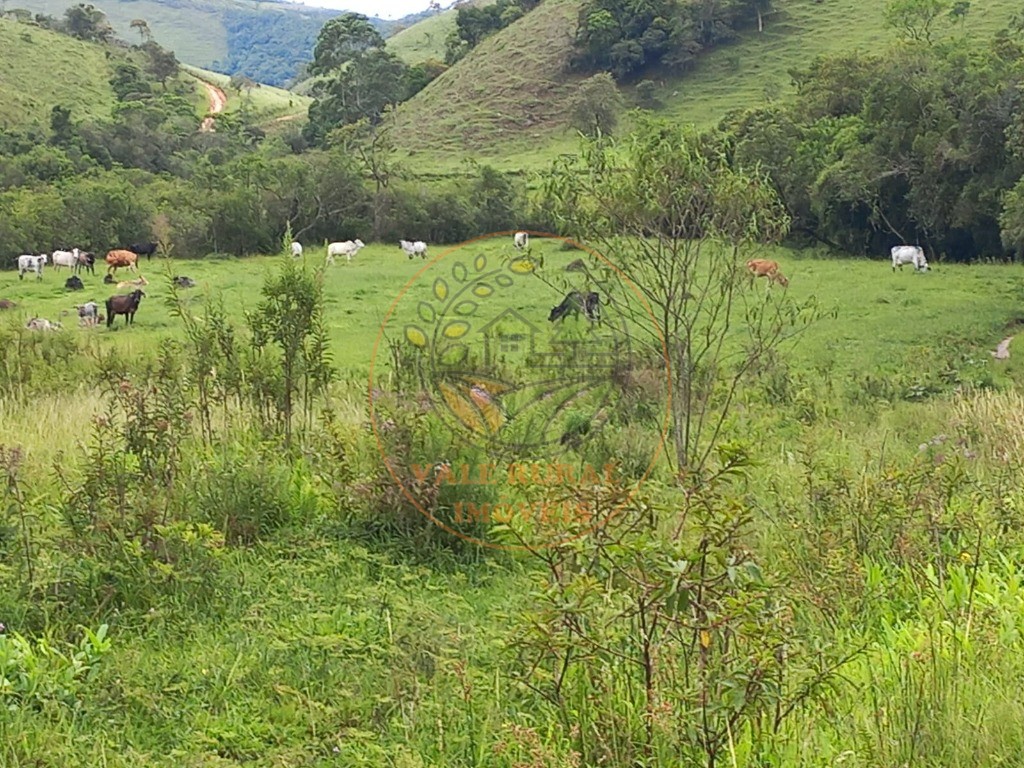 Fazenda à venda com 2 quartos, 83m² - Foto 24