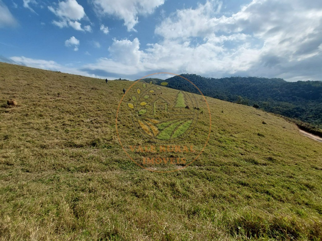 Fazenda à venda com 2 quartos, 20m² - Foto 19