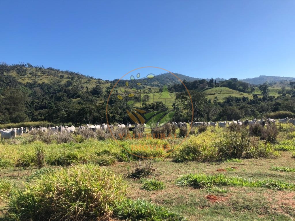 Fazenda à venda - Foto 7