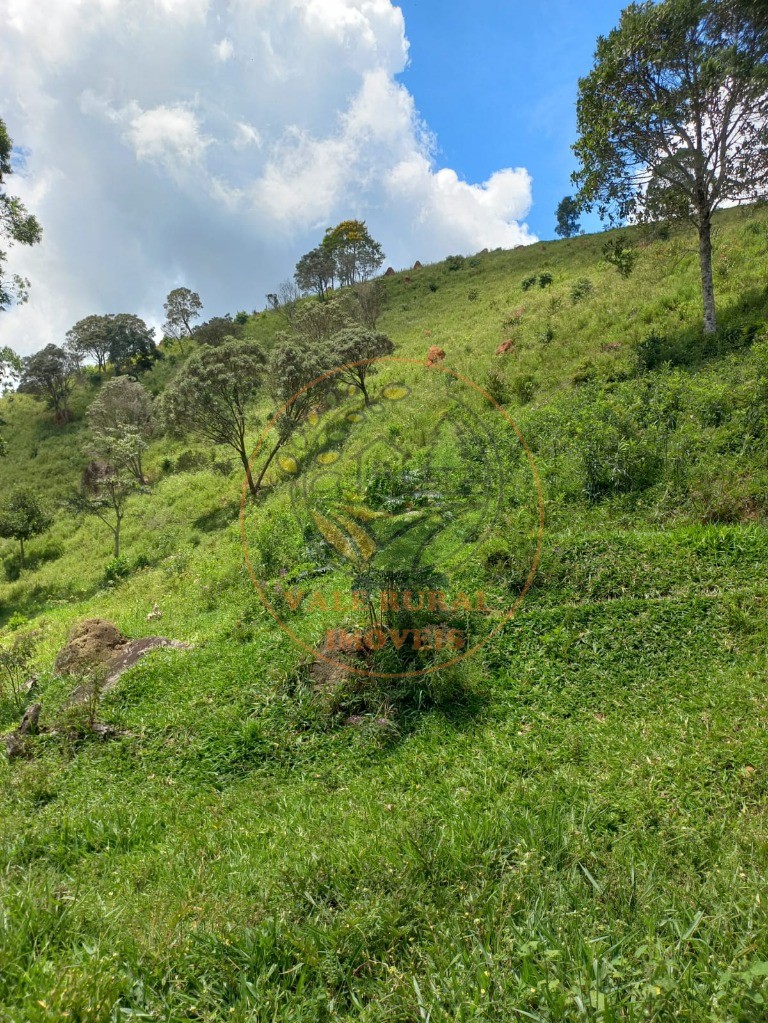 Sítio à venda - Foto 8