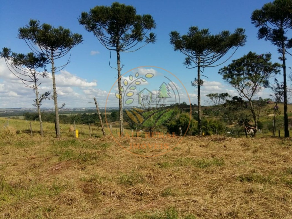 Haras e Área Rural Padrão à venda - Foto 1