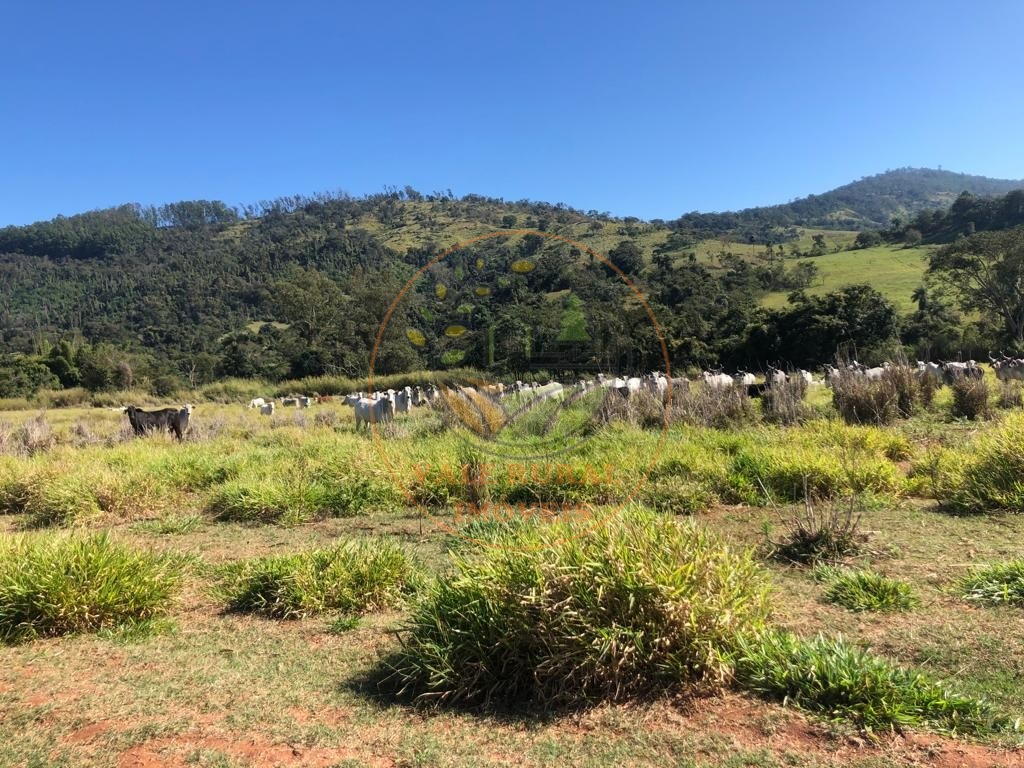 Fazenda à venda - Foto 10