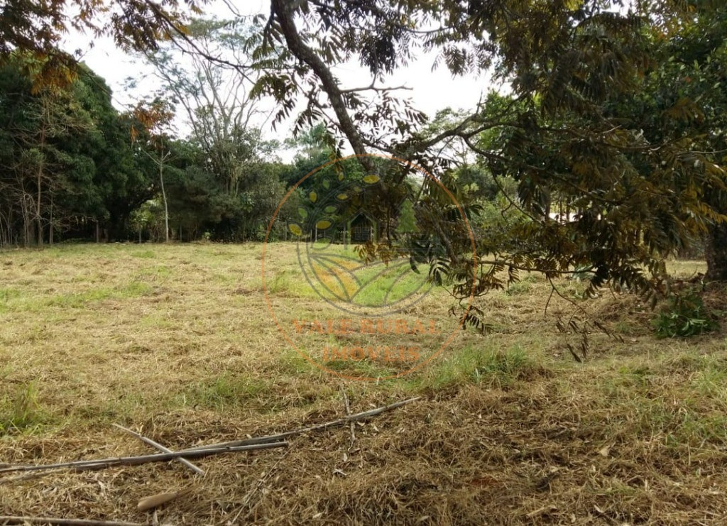 Haras e Área Rural Padrão à venda - Foto 3