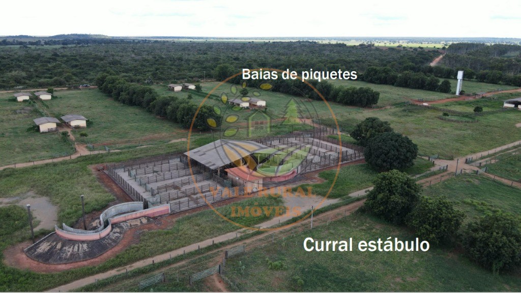 Fazenda à venda com 1 quarto, 6802m² - Foto 2