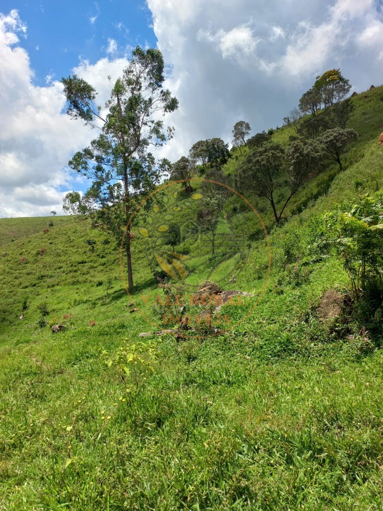 Sítio à venda - Foto 7