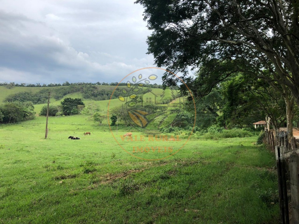 Fazenda à venda - Foto 15