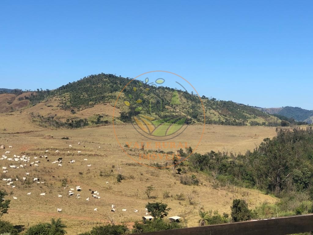 Fazenda à venda - Foto 4