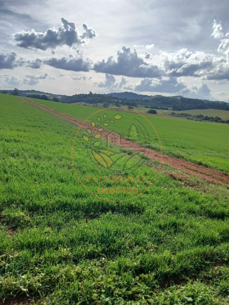 Fazenda à venda com 1 quarto, 112m² - Foto 10