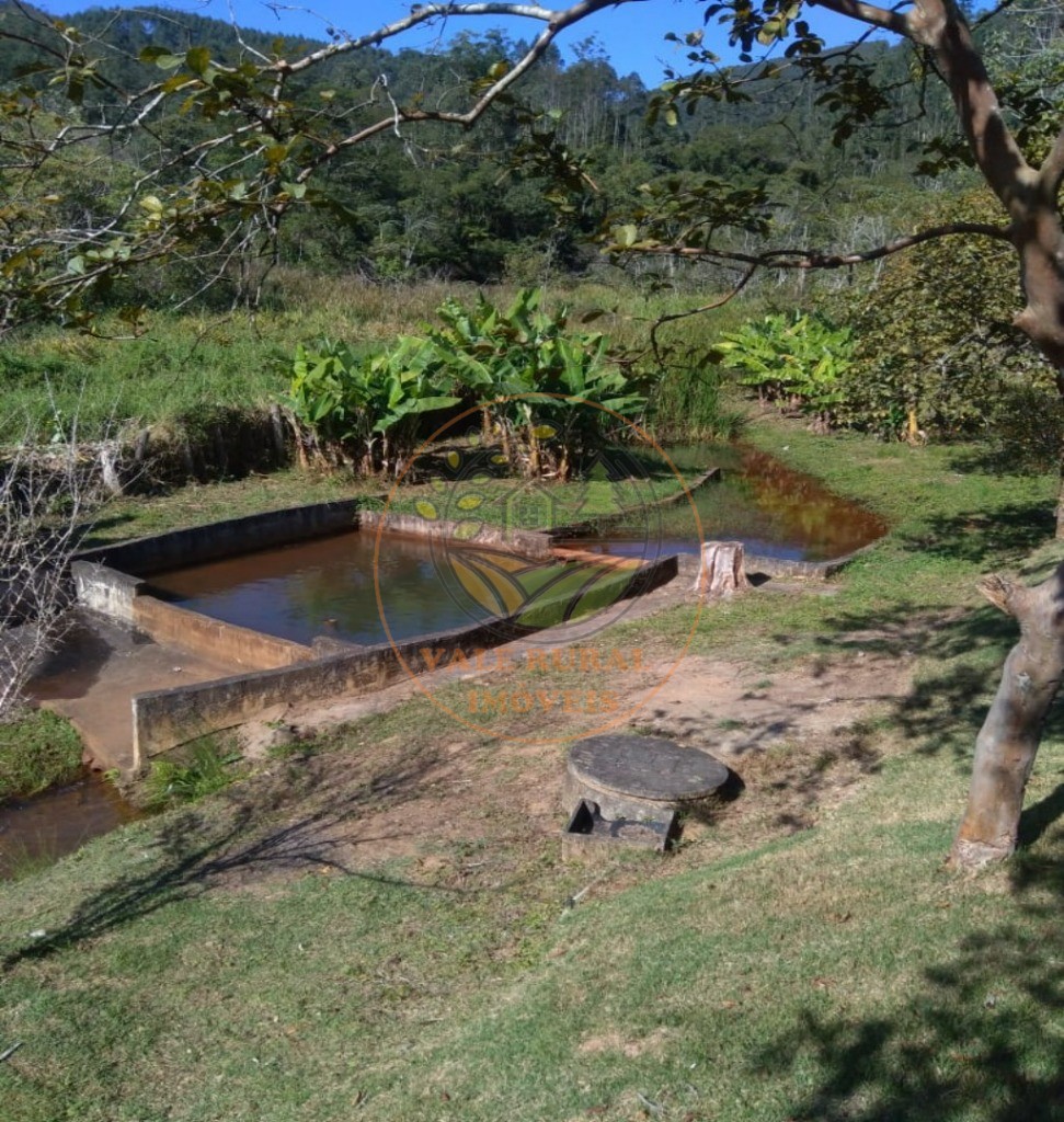 Chácara à venda com 4 quartos, 3000m² - Foto 8