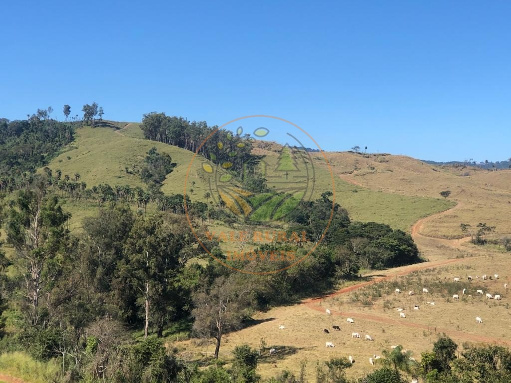 Fazenda à venda - Foto 1