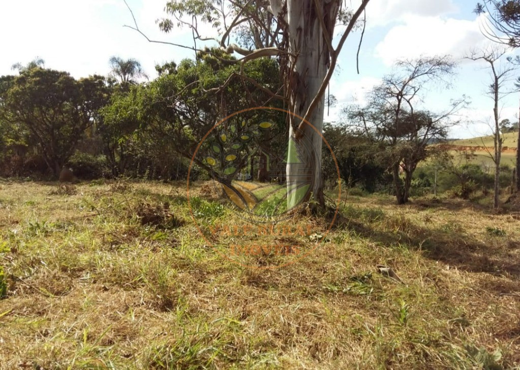 Haras e Área Rural Padrão à venda - Foto 6