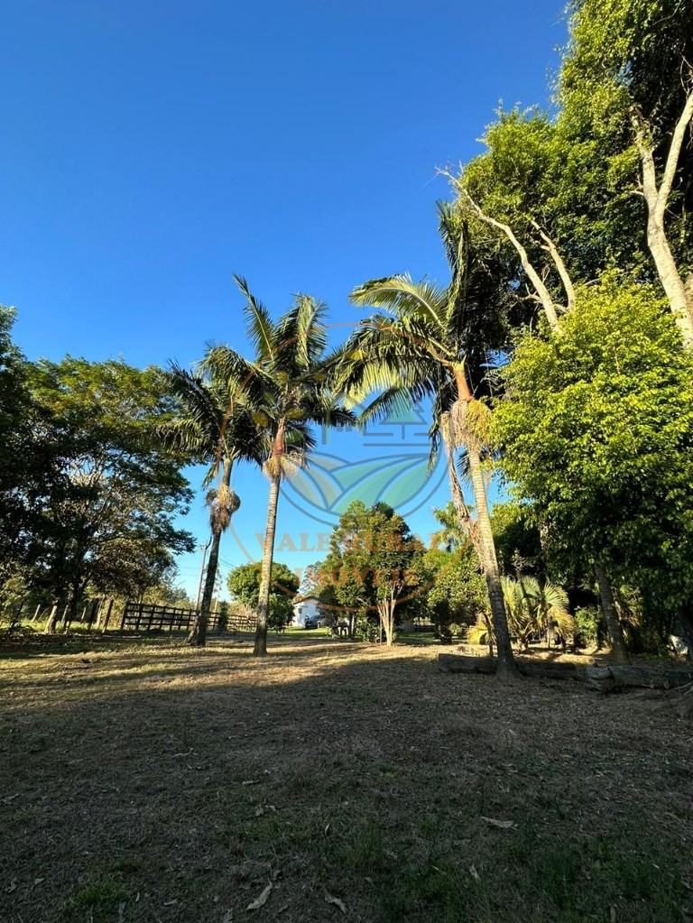 Chácara à venda com 3 quartos, 5000m² - Foto 88