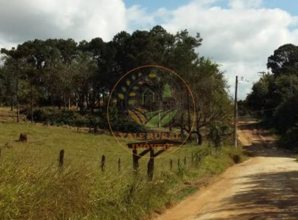 Haras e Área Rural Padrão à venda - Foto 12