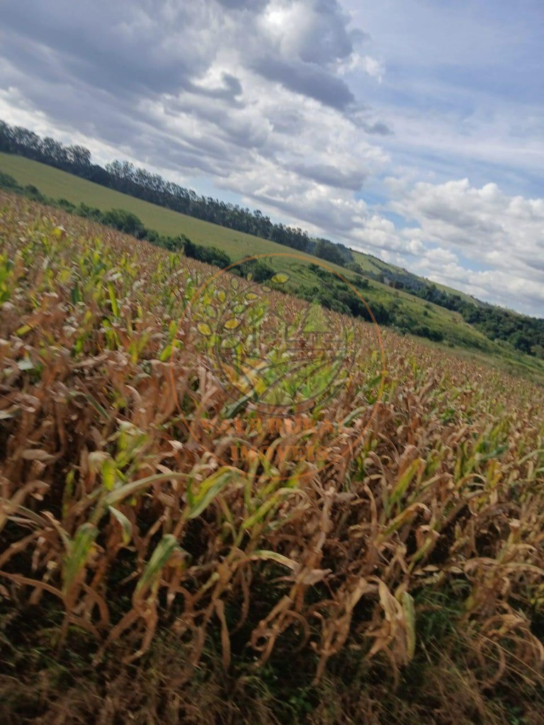 Fazenda à venda com 1 quarto, 112m² - Foto 8