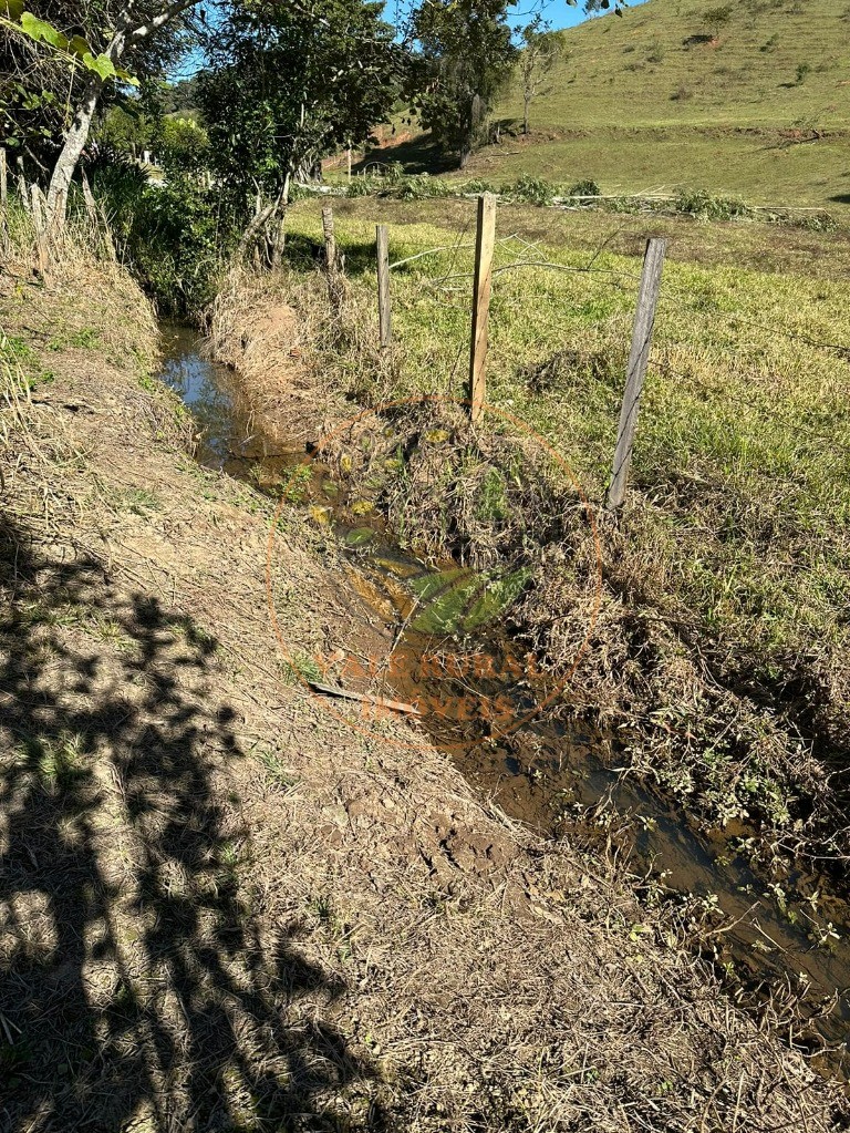 Chácara à venda com 3 quartos, 5000m² - Foto 95