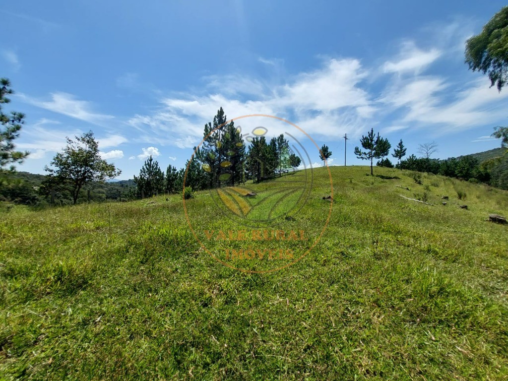 Sítio à venda com 3 quartos, 242000m² - Foto 64