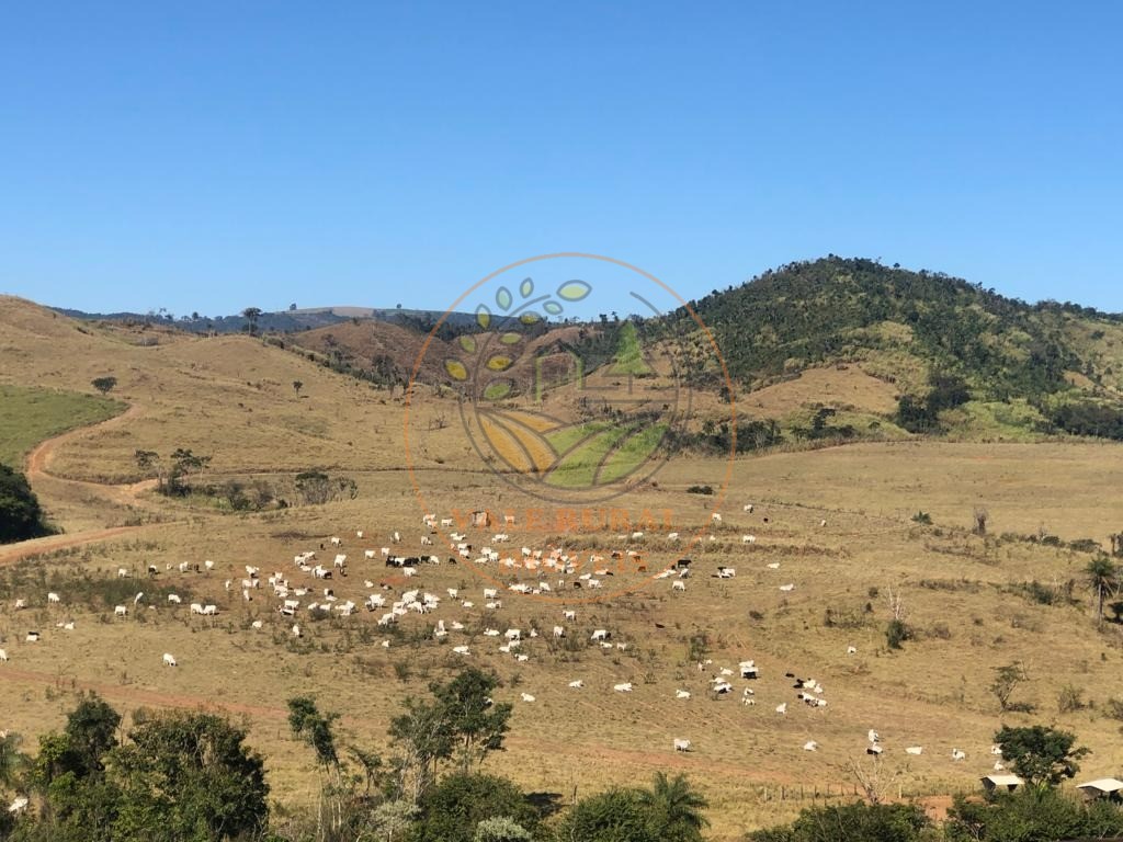 Fazenda à venda - Foto 3