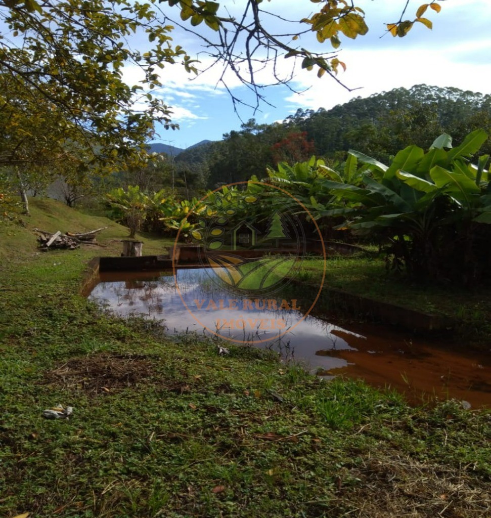 Chácara à venda com 4 quartos, 3000m² - Foto 5