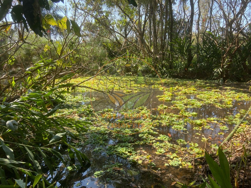 Chácara à venda com 4 quartos, 28800m² - Foto 14