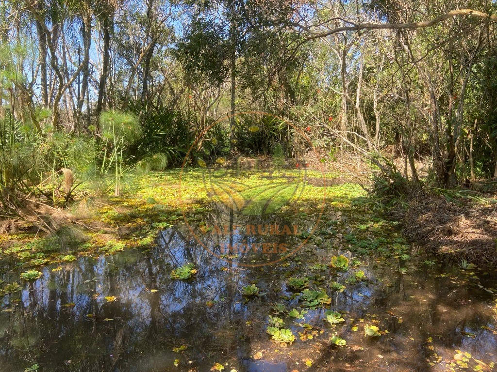 Chácara à venda com 4 quartos, 28800m² - Foto 28