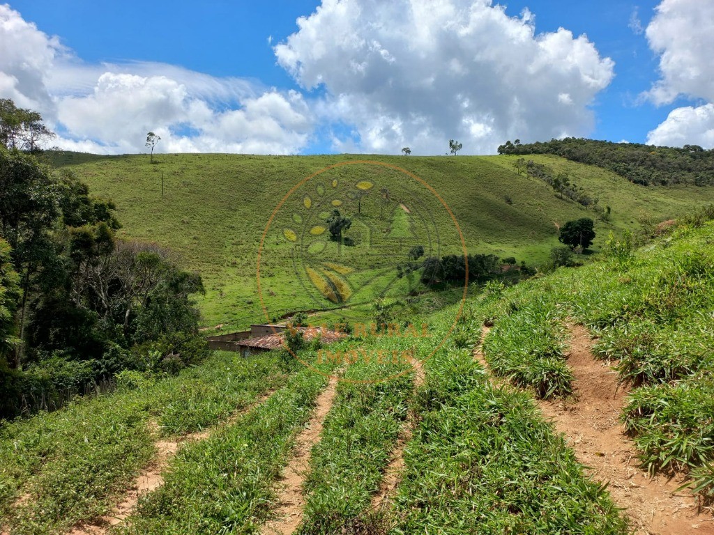 Sítio à venda - Foto 5