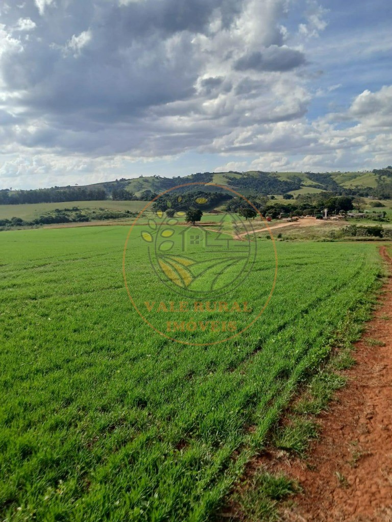 Fazenda à venda com 1 quarto, 112m² - Foto 1