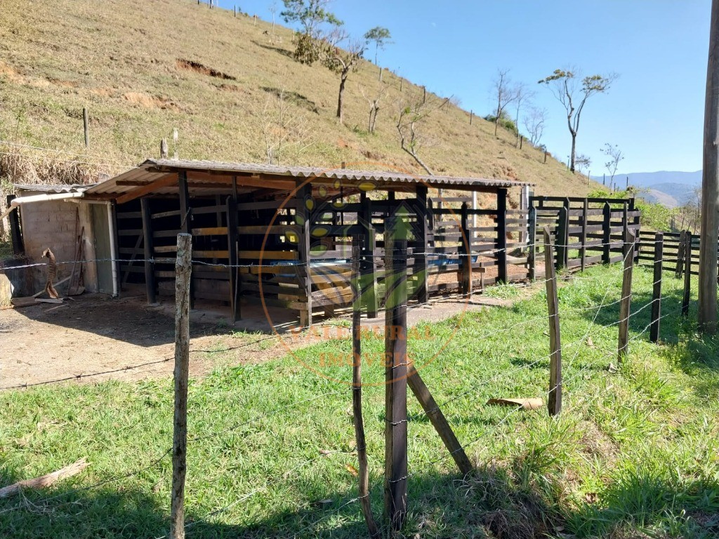 Sítio à venda com 3 quartos, 40000m² - Foto 5