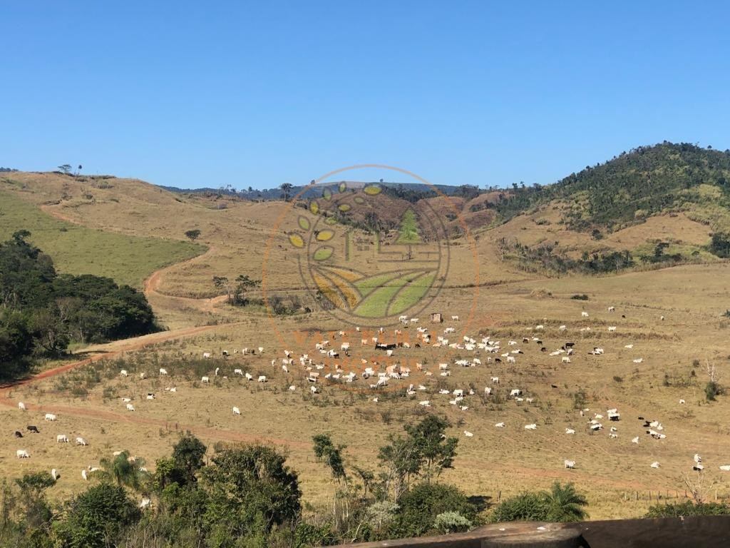 Fazenda à venda - Foto 2