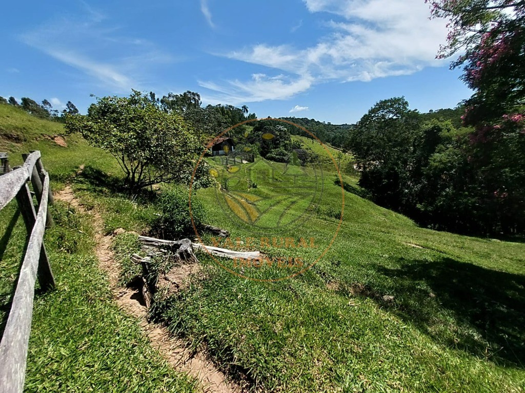 Sítio à venda com 3 quartos, 242000m² - Foto 43