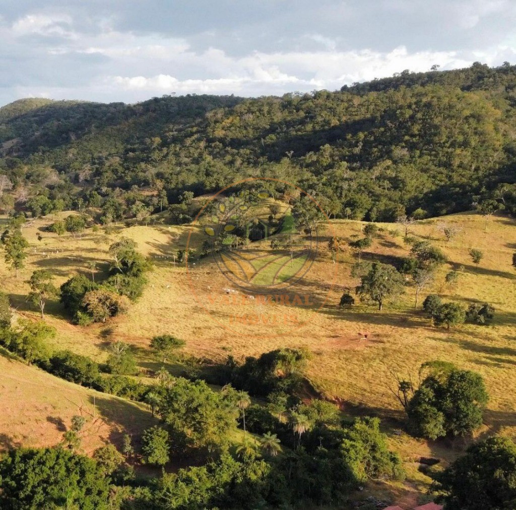 Fazenda à venda - Foto 16