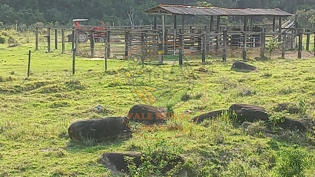 Fazenda à venda - Foto 2