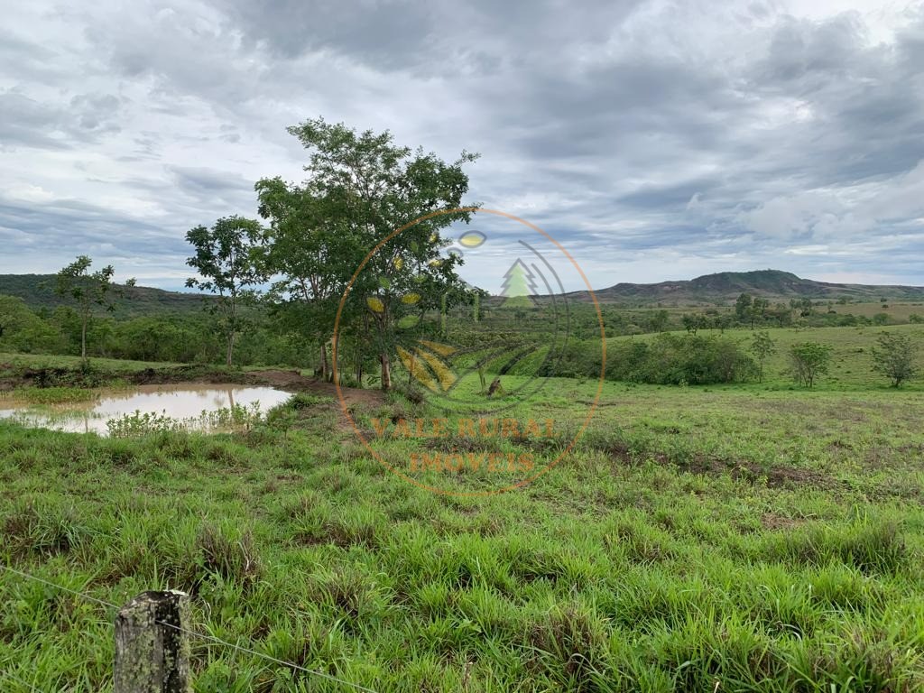 Fazenda à venda com 3 quartos, 306m² - Foto 21