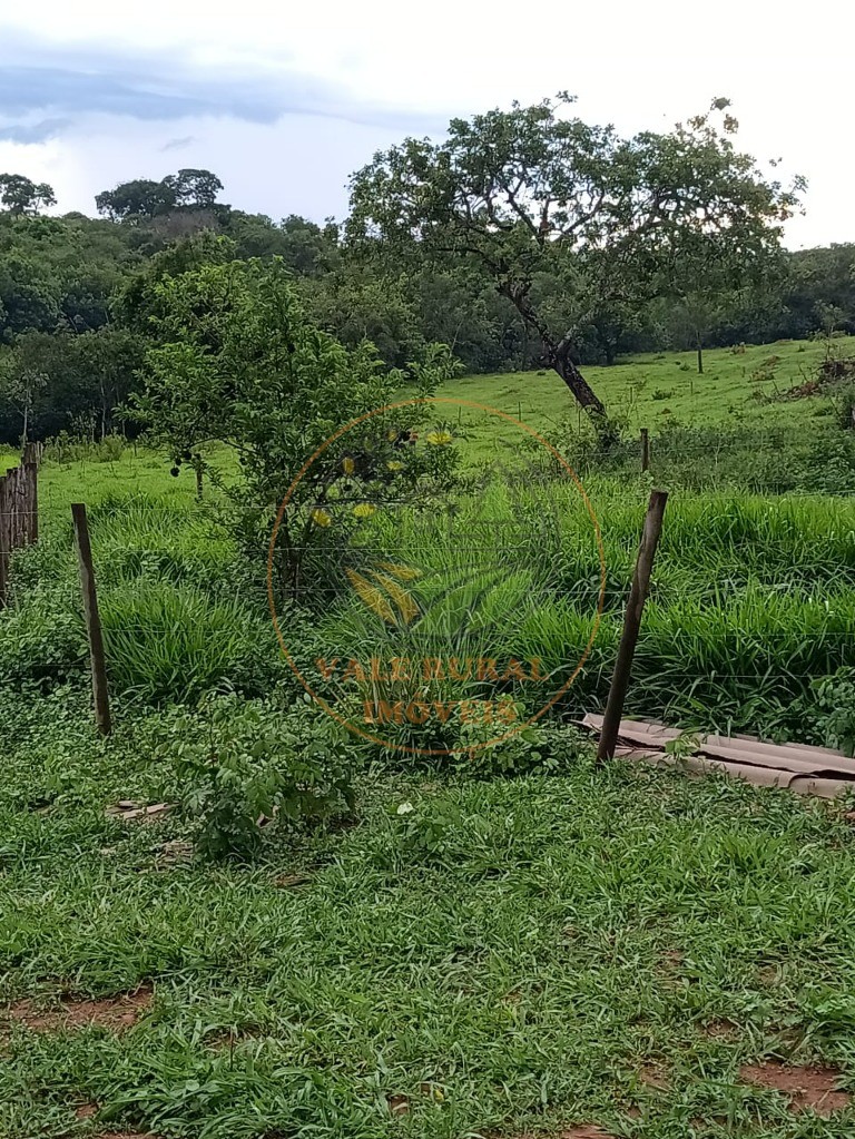 Fazenda à venda - Foto 9