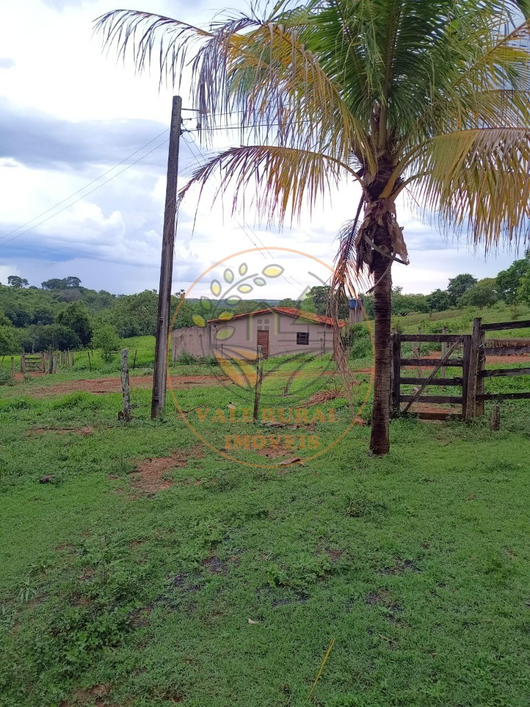 Fazenda à venda - Foto 2