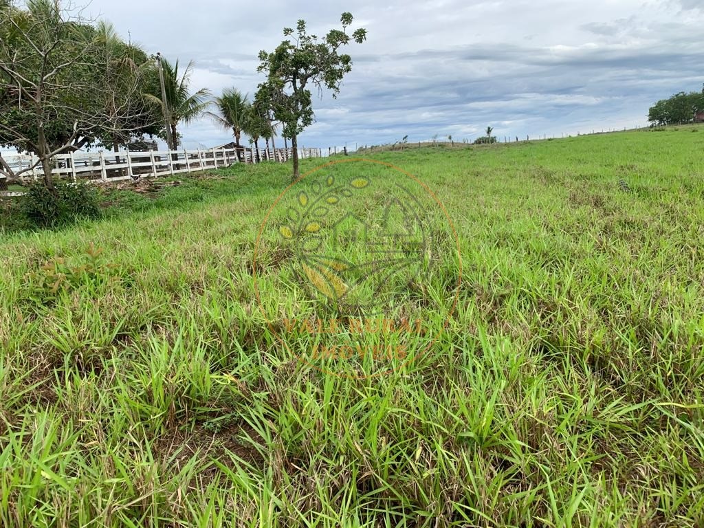 Fazenda à venda com 3 quartos, 306m² - Foto 16