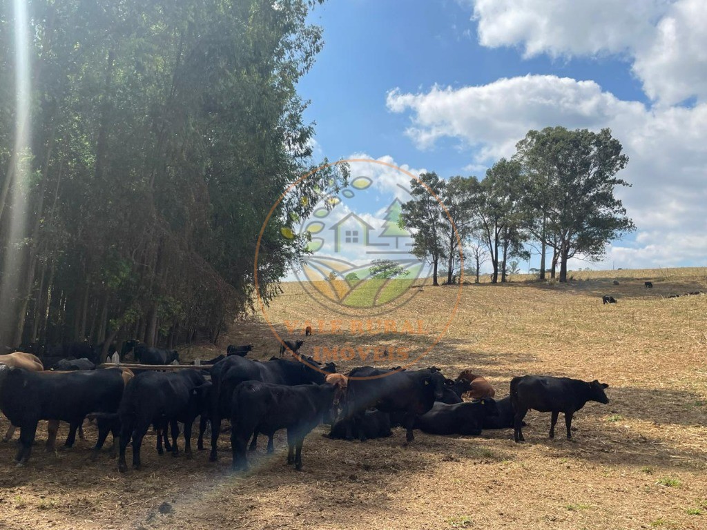 Fazenda à venda com 2 quartos - Foto 18