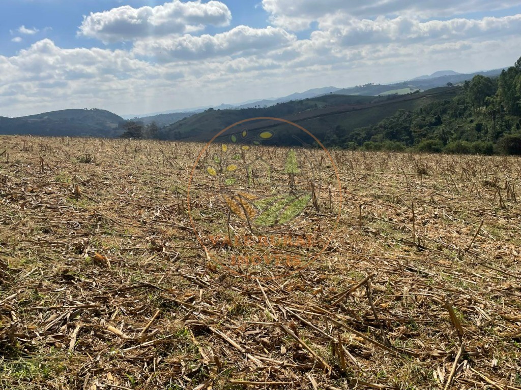 Fazenda à venda com 2 quartos - Foto 25