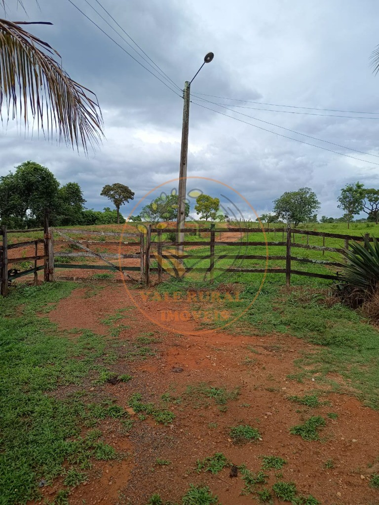 Fazenda à venda - Foto 4