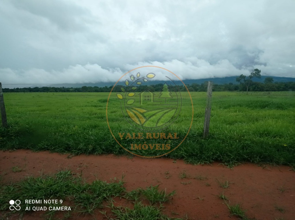 Fazenda à venda com 5 quartos - Foto 5