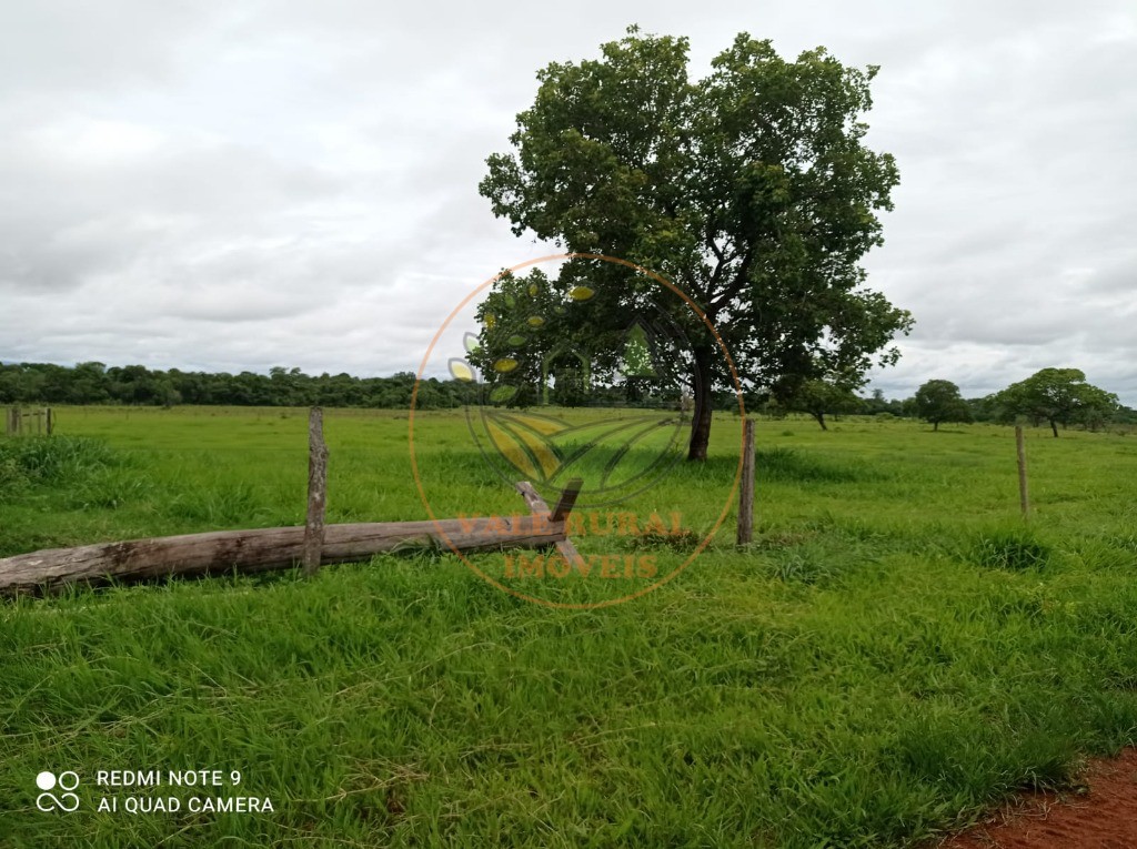 Fazenda à venda com 5 quartos - Foto 6