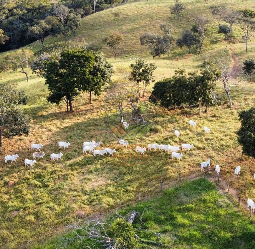 Fazenda à venda - Foto 20