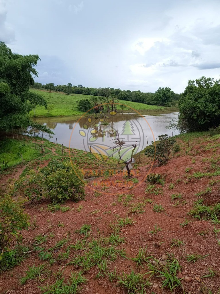 Fazenda à venda - Foto 19