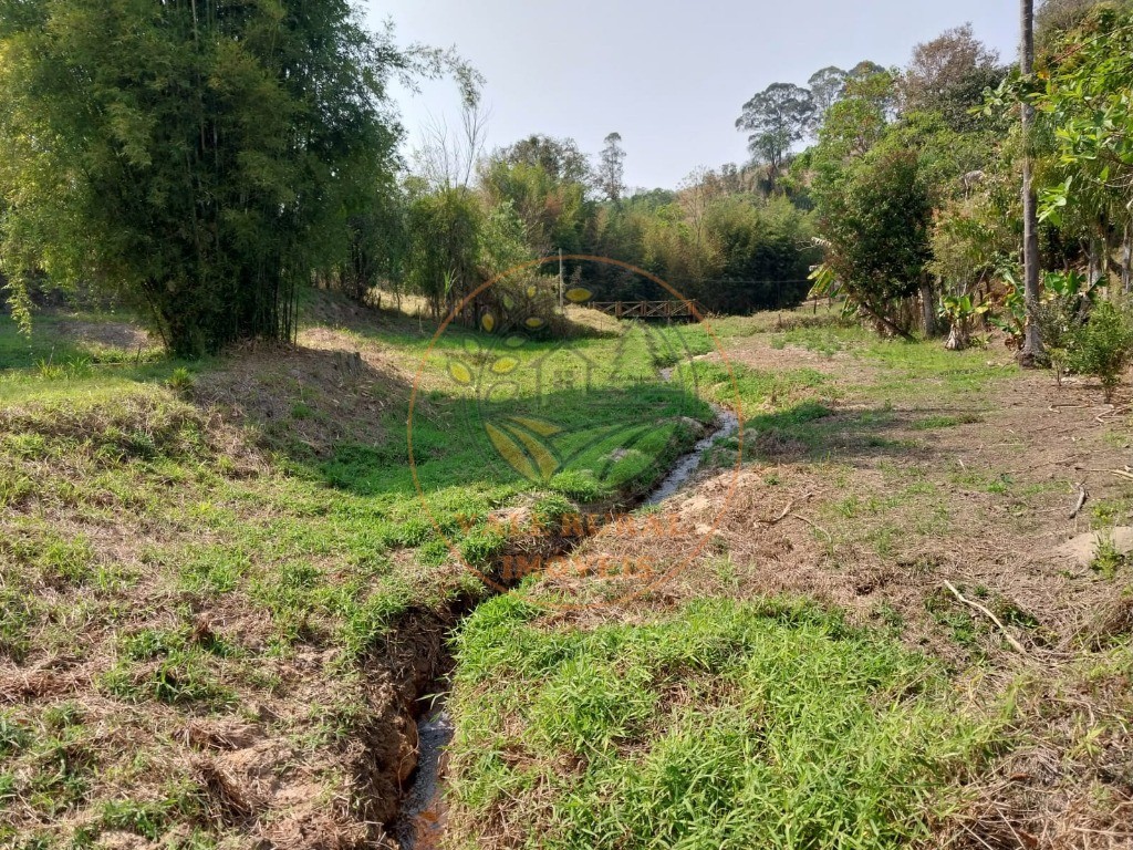 Chácara à venda com 2 quartos, 12000m² - Foto 12