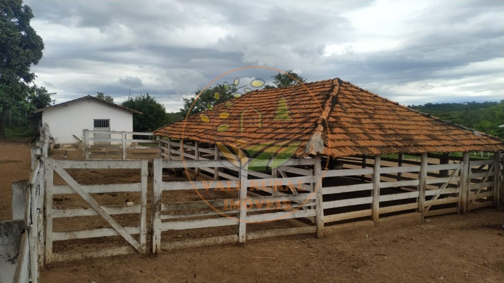 Fazenda à venda - Foto 7