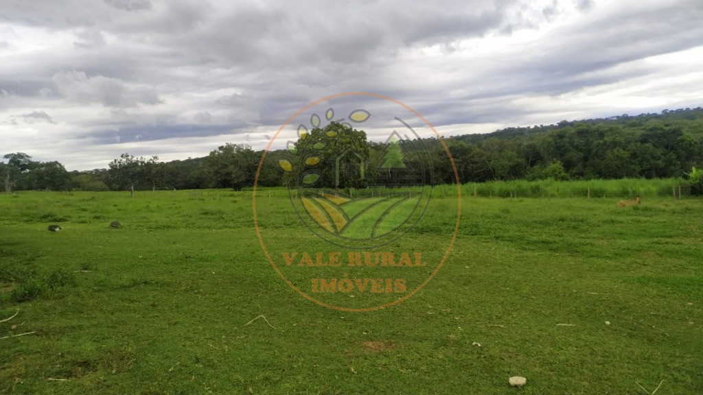 Fazenda à venda - Foto 1