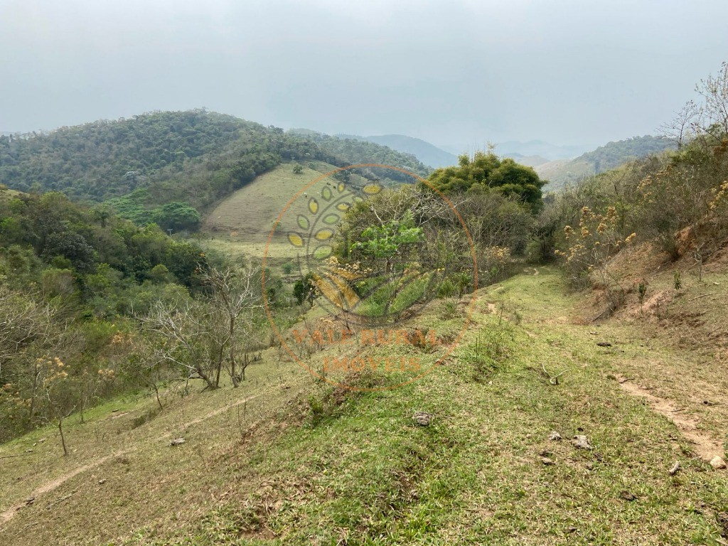 Haras e Área Rural Padrão à venda - Foto 4