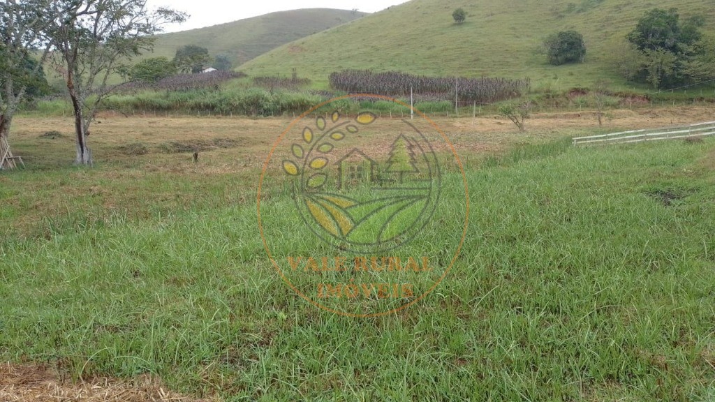 Haras e Área Rural Padrão à venda - Foto 12