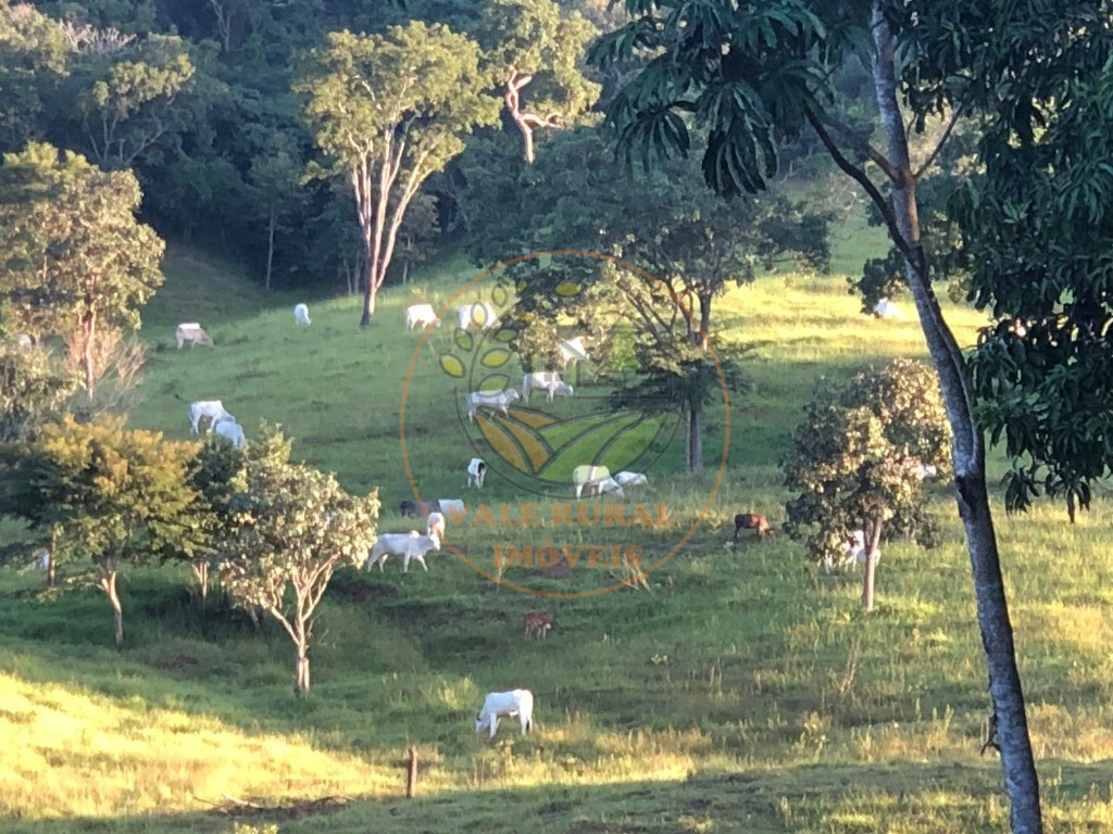 Fazenda à venda - Foto 19