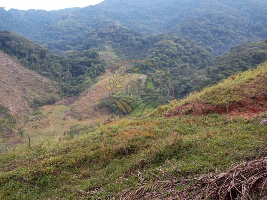 Fazenda à venda - Foto 14